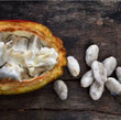 ATELIER CACAO - OvengLodge