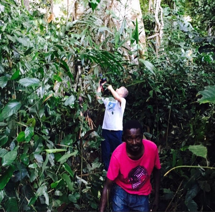 NATURE SAFARI