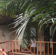 Bungalow standard FOÉ/ simple/ cette offre comprend 2 nuitées. - OvengLodge