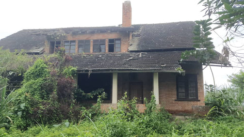 Docteur Friedman House - OvengLodge