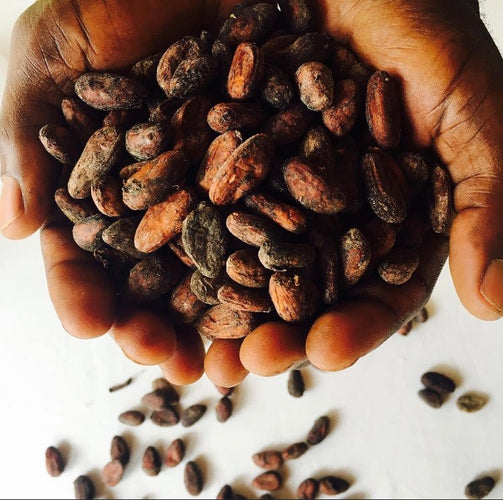 ATELIER CACAO CHOCOLAT - OvengLodge